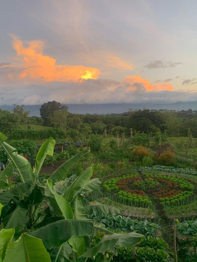 Glamping Campo Alegre Hotel Cartago Exterior photo